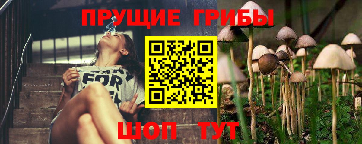 Псилоцибиновые грибы MAGIC MUSHROOMS  цена   Галлюциногенные грибы прущие грибы  Новороссийск  Вход с VPN 