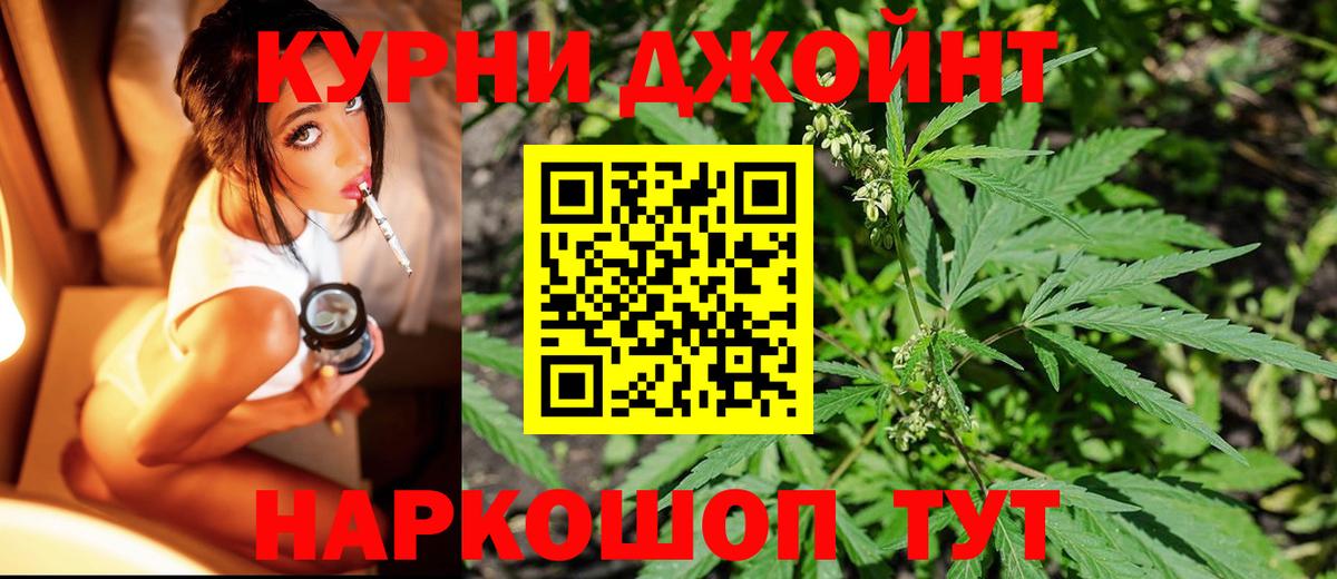 Шишки марихуана планчик Новороссийск